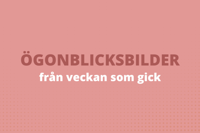 Kopia av Kopia av En vanlig vecka på Scientific! (1)