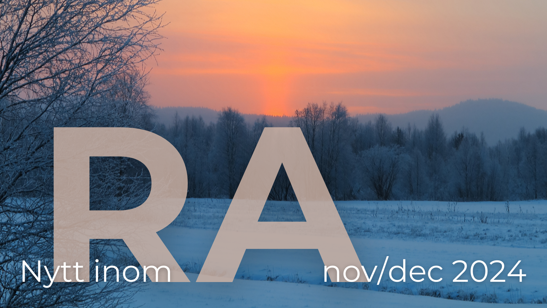 Nytt inom RA novdec 2024